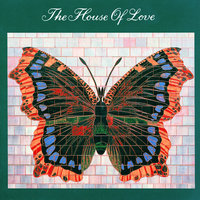 Shake And Crawl - The House Of Love