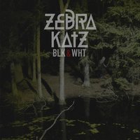 Blk & Wht - Zebra Katz, Kashaka