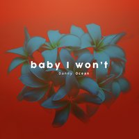 Baby I Won't - Danny Ocean