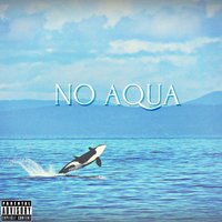 No Aqua - DDG