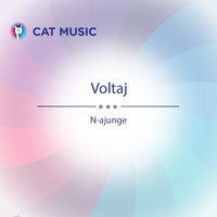 N-Ajunge - Voltaj