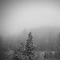 Dead Man Winter