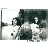 No Girl So Sweet - PJ Harvey