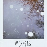 Numb - Brennan Savage