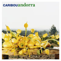 She's The One - Caribou