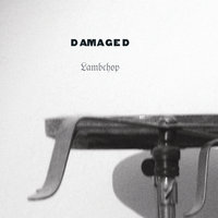 A Day Without Glasses - Lambchop
