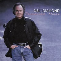 If I Lost My Way - Neil Diamond