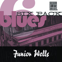 Give Me One Reason - Junior Wells, Sonny Landreth