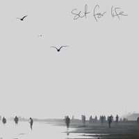 Set for Life - Trent Dabbs