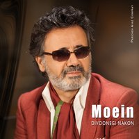 Divoonegi Nakon - Moein