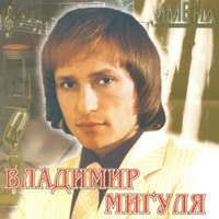 А мне не надо от тебя - Владимир Мигуля