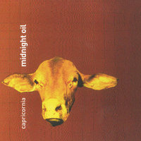 Been Away Too Long - Midnight Oil