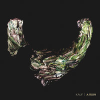 A Ruin - Kauf