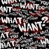 What Do You Want - Kid Travis
