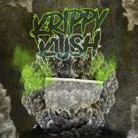 Krippy Kush - El Granfanatico, Farruko, Nengo Flow