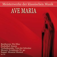 Canon and Gigue in D Major, P. 37: I. Canon - Neues Bachisches Collegium Musicum, Max Pommer, Иоганн Пахельбель