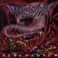 (Intro) Mockery Retained to Obturate - Iniquity