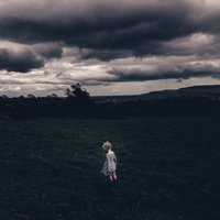 Dust in the Wind - A Blaze of Feather