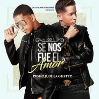 Se Nos Fue el Amor - Pusho, De La Ghetto