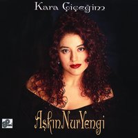 Deli Gönlüm - Aşkın Nur Yengi
