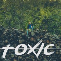 Toxic - Mario, Merio