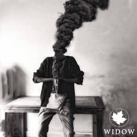 Widow - Sienna Skies