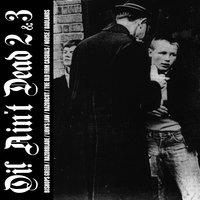 Our Generation - Lion's Law