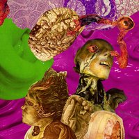Colorblind - Getter