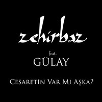Cesaretin Var mı Aşka? - Gülay, Zehirbaz