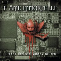 Figure in the Mirror - L'âme Immortelle