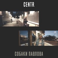 Собаки Павлова - CENTR
