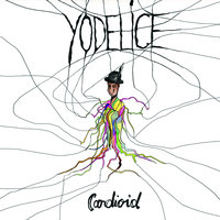 Wake Me Up - Yodelice