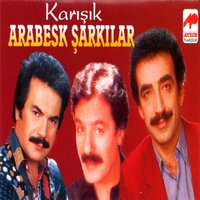 Bir Sana Yandım Ben - İbrahim Erkal, Sibel Yıldırım