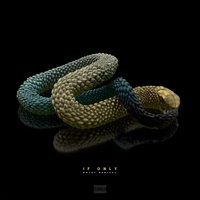 If Only - Kojey Radical