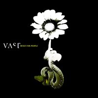 What Else Do I Need - VAST