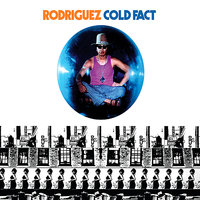 Sugar Man - Sixto Rodriguez