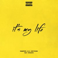 It's My Life - Эндшпиль, TumaniYO