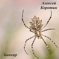 Банкир - Алексей Коротин