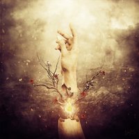 Into the Night - The Breathing Process