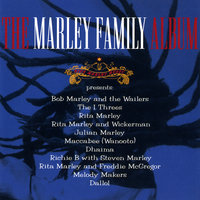 Lion In The Jungle - Julian Marley