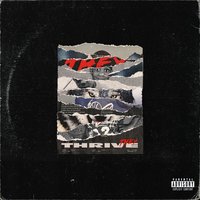 Thrive - THEY.