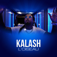 L'oiseau - KALASH