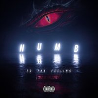 Numb to the Feeling - Chase Atlantic