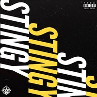 Stingy - Problem