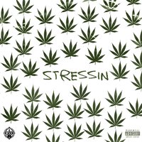 Stressin - Problem