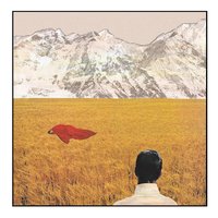 Billions of Eyes - Lady Lamb
