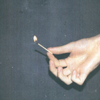Potential - Kllo