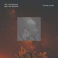 Future Blind - The Lighthouse and the Whaler