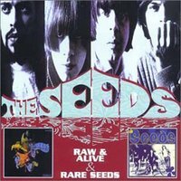 Forest Outside Your Door - The Seeds