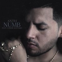 Numb - ANTH
